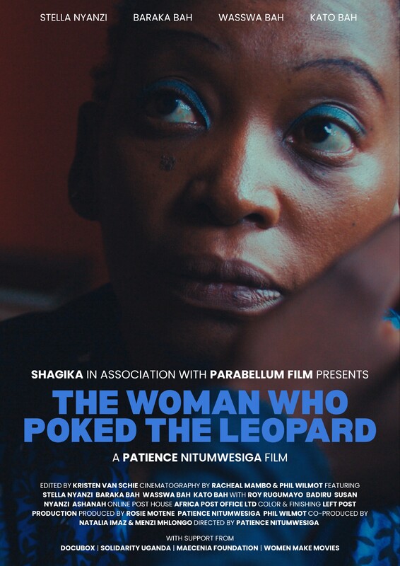 The Woman Who Poked The Leopard poster