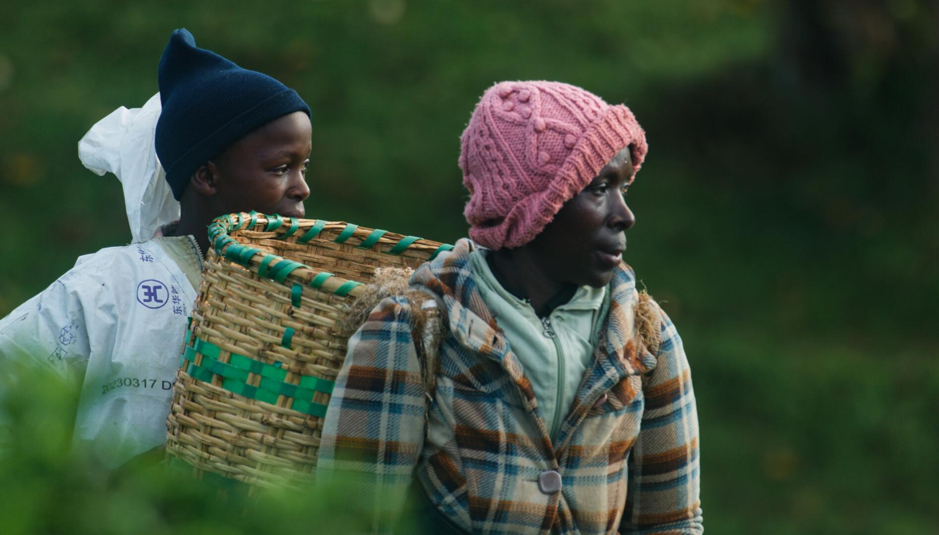 Kikuyu Land